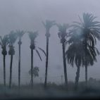 Catarroja, Albal, Massanassa y Aldaia superan los 55 litros en 12 horas mientras la lluvia continuará hasta el mediodía del lunes