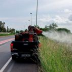 Sagunt refuerza los tratamientos contra los mosquitos ante las lluvias de octubre.