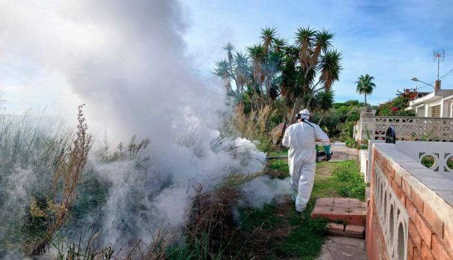 Sagunt refuerza los tratamientos contra los mosquitos ante las lluvias de octubre.