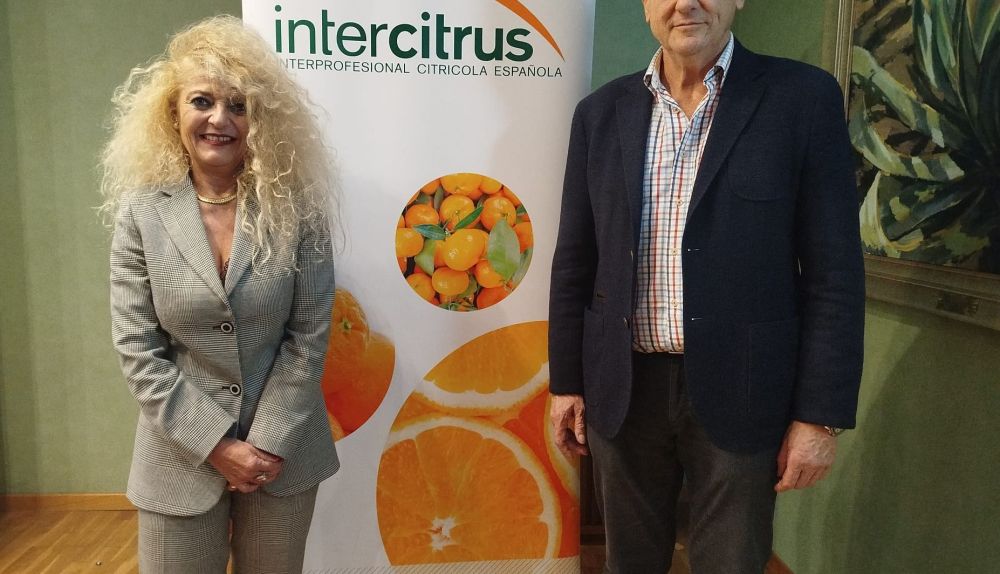 Inmaculada Sanfeliu posa junto a Celestino Recatalá tras asumir la presidencia de Intercitrus. Inmaculada Sanfeliu posa junto a Celestino Recatalá tras asumir la presidencia de Intercitrus.