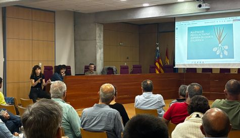 Grupo motor d'Alboraia per a estudiar sol·lucions davant la bactra.