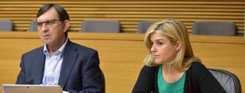 El Portavoz de Industria del Grupo Parlamentario Popular en Les Corts, Vicente Casanova y Eva Ortiz
