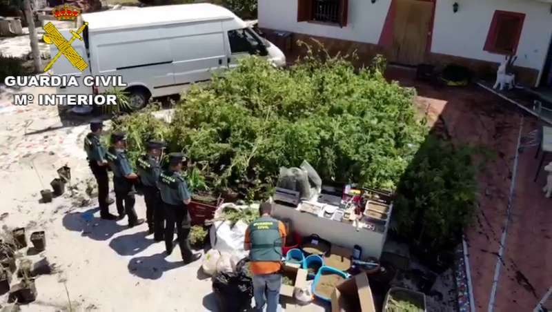 Imagen de una de las plantaciones incautadas por la Guardia Civil. EPDA