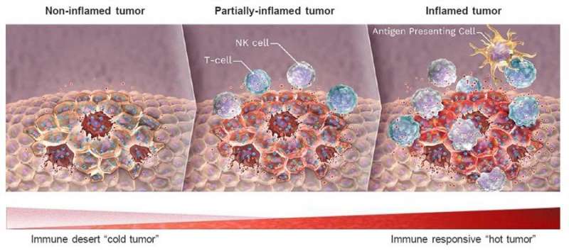 Grafía de un tumor, en una imagen del INCLIVA