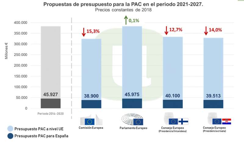 5339_presupuesto.PNG