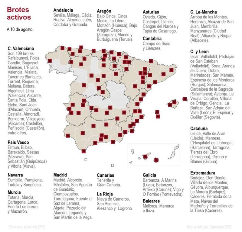 Mapa de rebrotes de coronavirus a fecha 11 de agosto. EFE